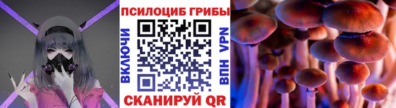 купить   блэк спрут ССЫЛКА  Псилоцибиновые грибы GOLDEN TEACHER  Цоци-Юрт 